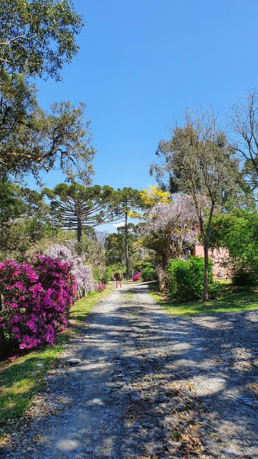 Pousada Bracatinga Bom Retiro  Exteriör bild